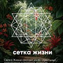 ���� Lubomir_ss, ����� - ��������� 19 ������ 2026 � ������ ������ ��������