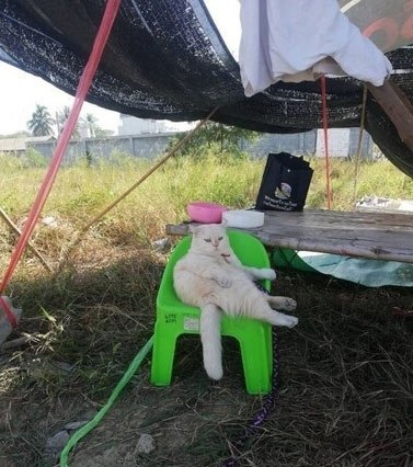 ����� ��� �����, � �� �������! - 4