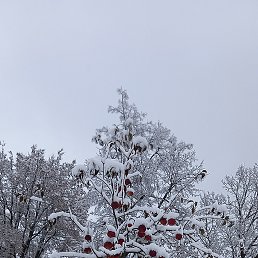 ���� �������, �����, 41 ��� - ��������� 13 ������� 2024