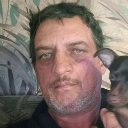 ������, �����������, 53 ����