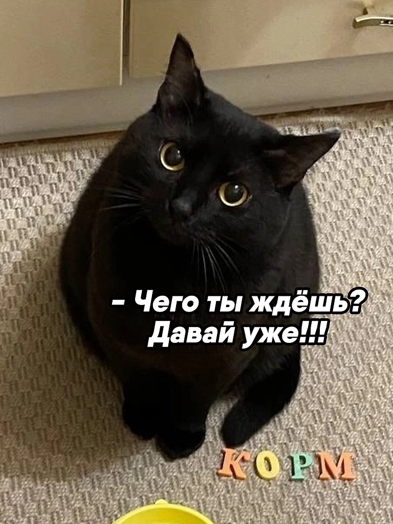       ,  ,   .     ... - 2