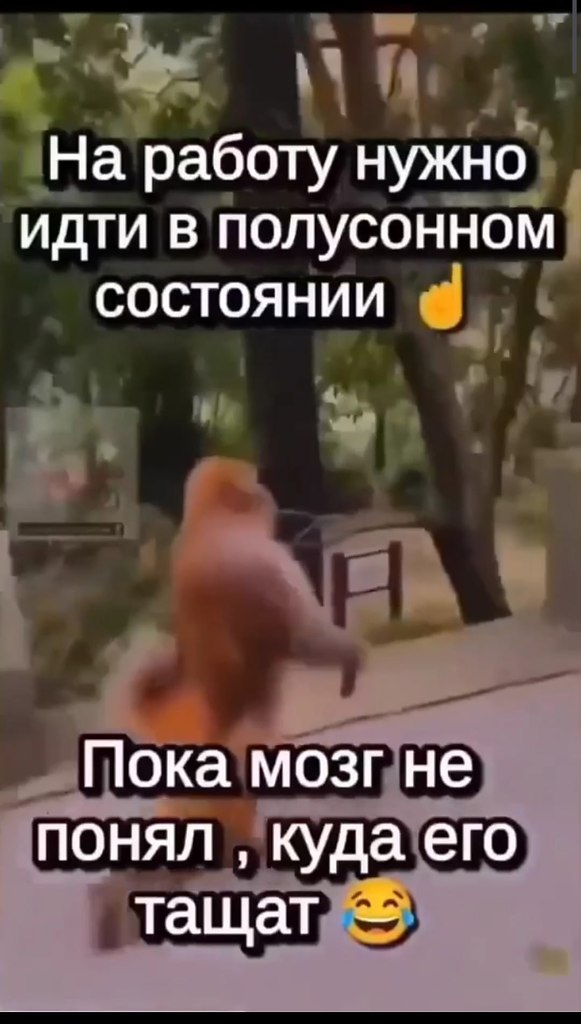 ������ ��� ����� �������� ����� �� ������ - 2
