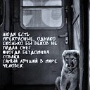   , , 51  -  2  2024    
