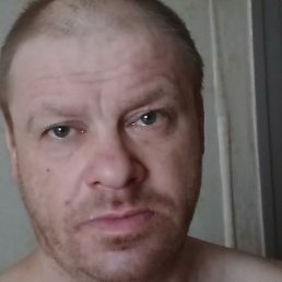 ���������, �������, 41 ���