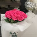 ���� Elena, ������ - ��������� 26 ������ 2024 � ������ ���� ����������