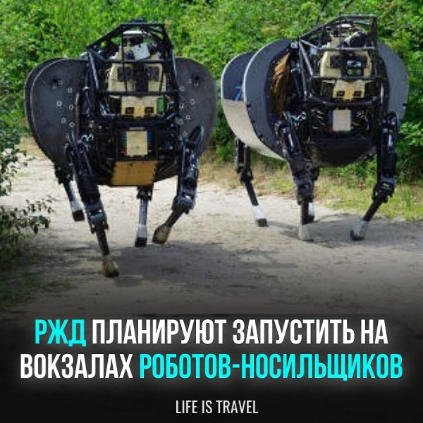 Конечно, такая помощь будет не бесплатно, а максимальный вес - 30 килограмм. Пока такая идея ...