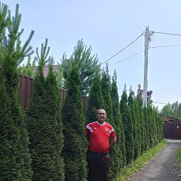 , 49 , 