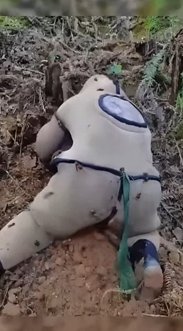    ,       - 2