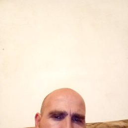 , 41, 