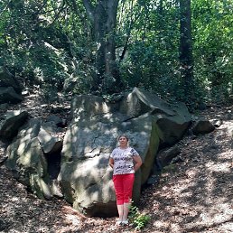 ���� �������, �����������, 58 ��� - ��������� 4 ������ 2025