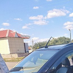 ������, ������, 50 ���