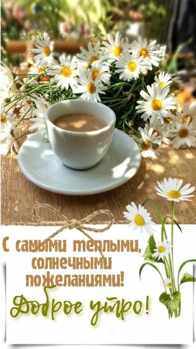 ***Victoria Viktorovna*** - 19  2025  06:14