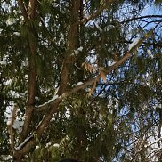 ����, 47 ���, ������