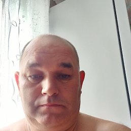 , 44, 