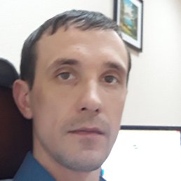 ������, ������, 41 ���