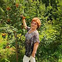 ��� ���������� �� ������� �����������