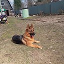 ���� ������, �����������, 64 ���� - ��������� 1 ������� 2025 � ������ ������ ��������