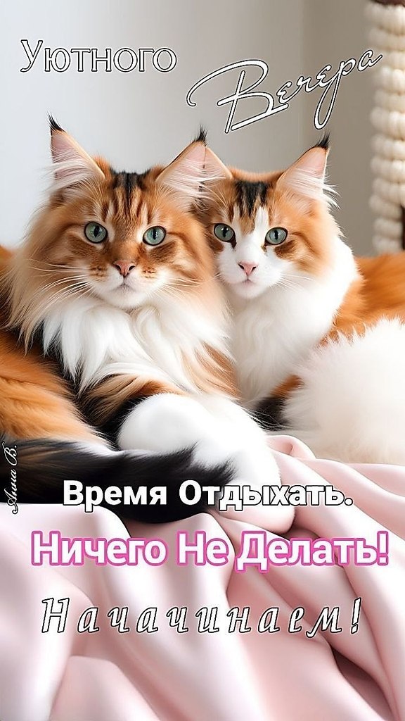 ПРИВЕТСТВИЯ и ПОЖЕЛАНИЯ, открытки на каждый день. - 13 октября 2025 в 17:52