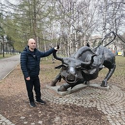 ����, 39 ���, ���������