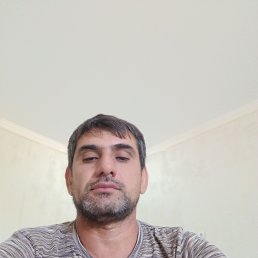 , 44 , 