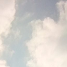 �����, ���������, 48 ���