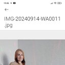 ���� ������, ������, 33 ���� - ��������� 24 ���� 2026