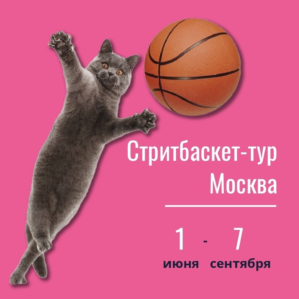     .          ... - 8