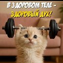 ���� ���������, ����������, 74 ���� - ��������� 11 ��� 2026 � ������ ������ ��������