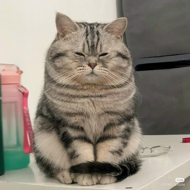 ���� -��� - 2