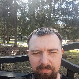 ���� ������ ��������, ��������, 33 ���� - ��������� 3 ������ 2026