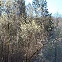 ���� ����, �����, 58 ��� - ��������� 19 ��� 2025 � ������ ���� ����������