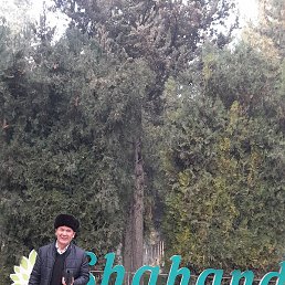 ������, �����, 57 ���