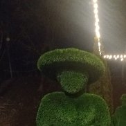 , 54 , 