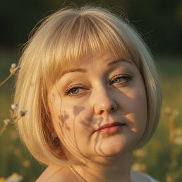 ���� �������, ���������� - ��������� 15 ������ 2026