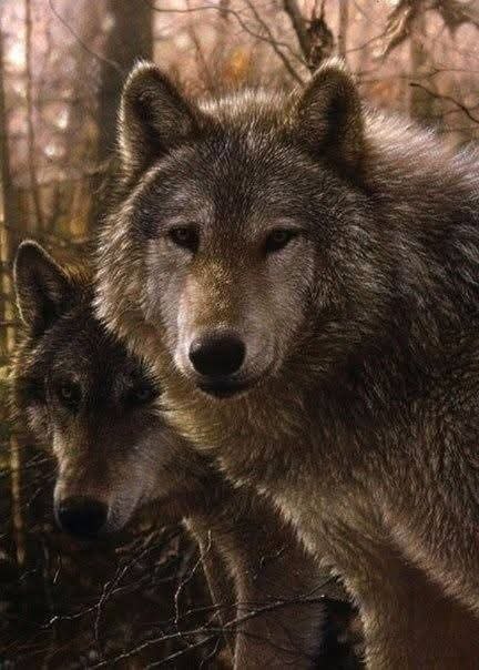 :)  Collin Bogle - 3