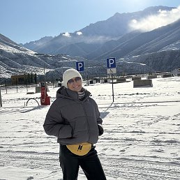 �������, �������, 46 ���