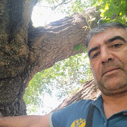 Vqar, ����, 50 ���