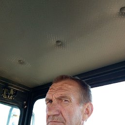 , 54, 