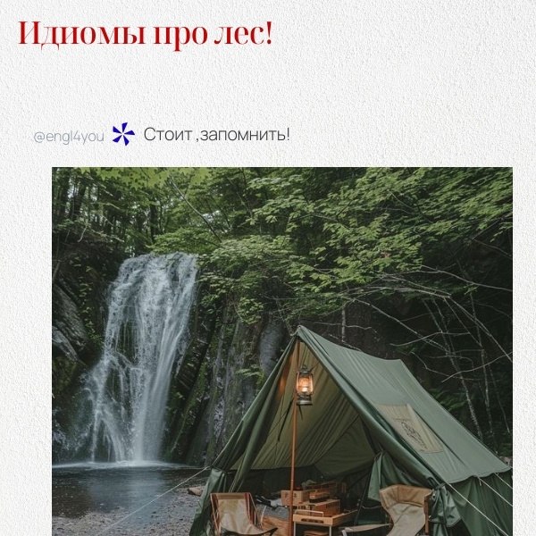 Вот несколько интересных идиом, связанных с лесом, вместе с примерами и переводом: 1. Can't see the ...