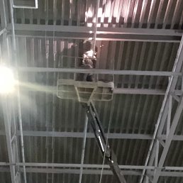 ���� ������, �����-���������, 38 ��� - ��������� 5 ������� 2026