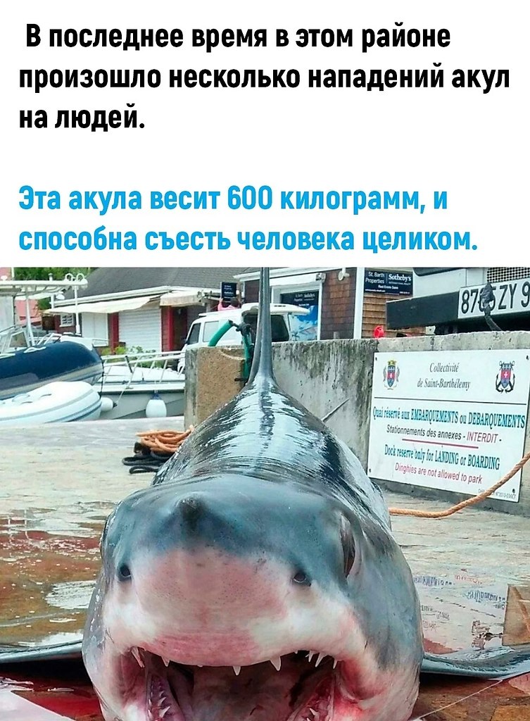   - 3