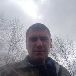 , 44, 