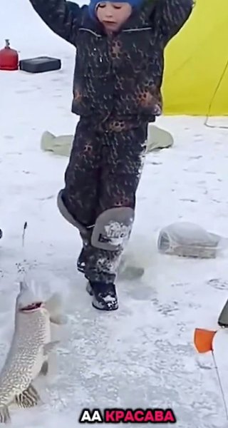     .    !!! - 2
