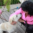 ���� �������, ������ - ��������� 27 ������ 2025 � ������ ���� ����������