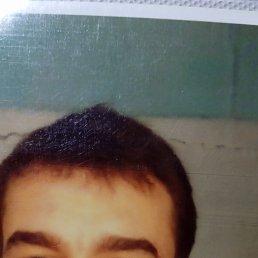 , 37, 