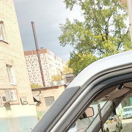 �����, �����������, 52 ����