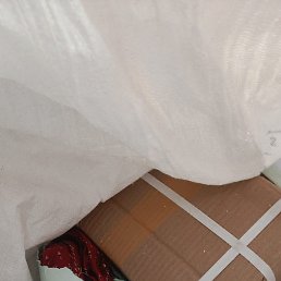 Pk, ������, 29 ���