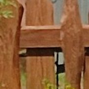 ����, 42 ����, �������