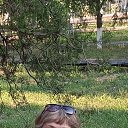 ���� ����, �������, 61 ��� - ��������� 4 �������� 2024 � ������ ���� ����������