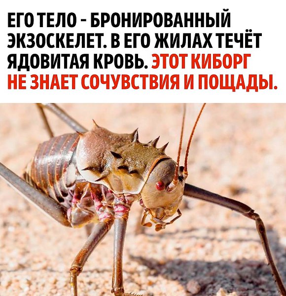 ������� �����������, ��� �� � ���� �� ����� �������